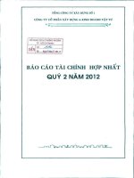 Báo cáo tài chính hợp nhất quý 2 năm 2012 - Công ty Cổ phần Xây dựng và Kinh doanh Vật tư