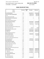 Báo cáo tài chính quý 4 năm 2010 - Công ty Cổ phần Đầu tư Xây dựng Bạch Đằng TMC