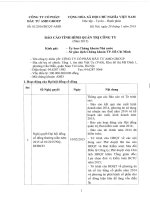 Báo cáo tình hình quản trị công ty - Công ty cổ phần Đầu tư AMD Group