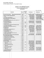 Báo cáo tài chính hợp nhất quý 3 năm 2012 - Công ty Cổ phần Nam Việt