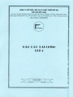 Báo cáo tài chính quý 4 năm 2013 - Công ty cổ phần Đầu tư và Phát triển Đô thị Dầu khí Cửu Long