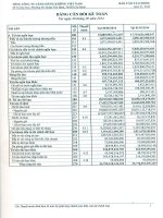 Báo cáo tài chính công ty mẹ quý 2 năm 2014 - Tổng Công ty Cảng Hàng không Việt Nam-Công ty TNHH MTV