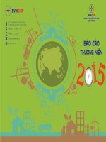 Báo cáo thường niên năm 2015 - Công ty Cổ phần Thủy điện miền Trung