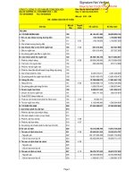 Báo cáo tài chính hợp nhất quý 2 năm 2013 - Công ty Cổ phần Bê tông Biên Hòa