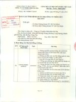 Báo cáo tình hình quản trị công ty - Công ty Cổ phần Nhiệt điện Bà Rịa