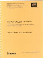 Báo cáo tài chính công ty mẹ quý 2 năm 2014 (đã soát xét) - Công ty cổ phần Phân bón Bình Điền