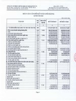 Báo cáo tài chính quý 3 năm 2010 - Công ty Cổ phần Chứng khoán Nông nghiệp và Phát triển Nông thôn