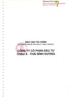 Báo cáo tài chính công ty mẹ năm 2013 (đã kiểm toán) - Công ty Cổ phần Đầu tư Châu Á - Thái Bình Dương