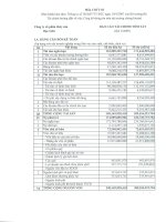 Báo cáo tài chính quý 2 năm 2009 - Công ty Cổ phần Thủy sản Bạc Liêu