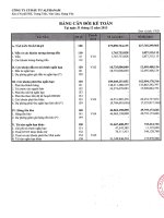 Báo cáo tài chính công ty mẹ quý 4 năm 2013 - Công ty Cổ phần Đầu tư Alphanam