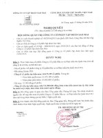 Nghị quyết Hội đồng Quản trị - Công ty Cổ phần Tập đoàn Sao Mai