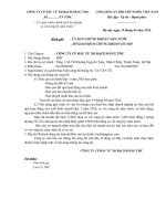 Báo cáo tài chính quý 1 năm 2016 - Công ty Cổ phần Đầu tư Xây dựng Bạch Đằng TMC