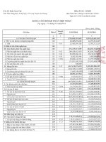 Báo cáo tài chính hợp nhất quý 1 năm 2016 - Công ty Cổ phần Nam Việt
