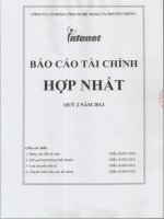 Báo cáo tài chính hợp nhất quý 2 năm 2014 - Công ty Cổ phần Công nghệ Mạng và Truyền thông