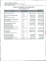 Báo cáo tài chính hợp nhất quý 2 năm 2011 - Công ty Cổ phần Đầu tư Alphanam