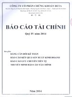 Báo cáo tài chính quý 4 năm 2014 - Công ty Cổ phần Chứng khoán BETA