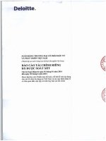 Báo cáo tài chính công ty mẹ quý 2 năm 2014 (đã soát xét) - Ngân hàng Thương mại cổ phần Đầu tư và Phát triển Việt Nam