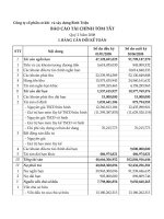 Báo cáo tài chính quý 2 năm 2008 - Công ty Cổ phần Cơ khí và Xây dựng Bình Triệu