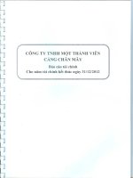 Báo cáo tài chính năm 2012 (đã kiểm toán) - CTCP Cảng Chân Mây