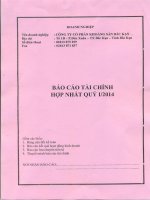 Báo cáo tài chính hợp nhất quý 1 năm 2014 - Công ty Cổ phần Khoáng sản Bắc Kạn