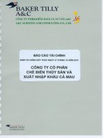 Báo cáo tài chính công ty mẹ năm 2013 (đã kiểm toán) - Công ty Cổ phần Chế biến và Xuất nhập khẩu Thuỷ sản Cà Mau