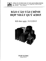 Báo cáo tài chính hợp nhất quý 4 năm 2015 - Công ty Cổ phần Đầu tư Xây dựng Bình Chánh
