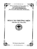 Báo cáo thường niên năm 2012 - CTCP Xi măng La Hiên VVMI