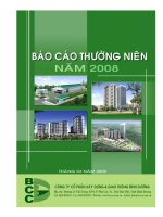 Báo cáo thường niên năm 2008 - Công ty Cổ phần Xây dựng và Giao thông Bình Dương