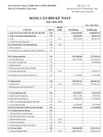 Báo cáo tài chính quý 1 năm 2010 - Công ty Cổ phần Sách và Thiết bị Bình Định
