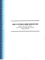 Báo cáo tài chính năm 2011 (đã kiểm toán) - Công ty cổ phần Xi măng Vicem Bút Sơn