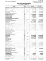 Báo cáo tài chính quý 2 năm 2010 - Công ty Cổ phần Xi măng Bỉm Sơn