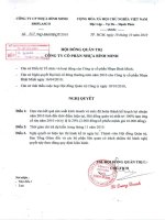 Nghị quyết Hội đồng Quản trị ngày 18-10-2010 - Công ty Cổ phần Nhựa Bình Minh