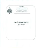 Báo cáo tài chính công ty mẹ quý 2 năm 2013 - Công ty Cổ phần Xuất nhập khẩu Thủy sản An Giang