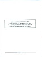 Báo cáo tài chính hợp nhất quý 2 năm 2011 (đã soát xét) - Công ty Cổ phần Đầu tư BVG