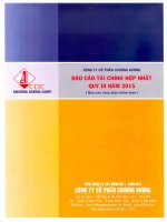 Báo cáo tài chính hợp nhất quý 3 năm 2015 - Công ty Cổ phần Chương Dương