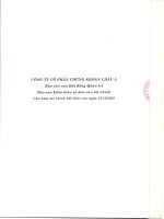 Báo cáo tài chính năm 2010 (đã kiểm toán) - Công ty Cổ phần Chứng khoán ASC