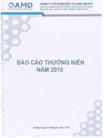 Báo cáo thường niên năm 2015 - Công ty cổ phần Đầu tư AMD Group