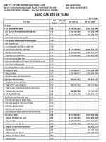 Báo cáo tài chính quý 1 năm 2012 - Công ty Cổ phần Khoáng sản Vinas A Lưới