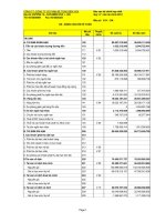 Báo cáo tài chính hợp nhất quý 4 năm 2012 - Công ty Cổ phần Bê tông Biên Hòa