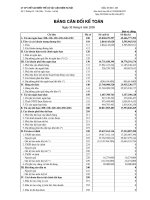 Báo cáo tài chính quý 2 năm 2009 - Công ty Cổ phần Chế tạo Biến thế và Vật liệu điện Hà Nội