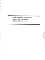 Báo cáo tài chính năm 2009 (đã kiểm toán) - Công ty Cổ phần Chứng khoán Châu Á – Thái Bình Dương