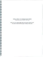 Báo cáo tài chính hợp nhất năm 2012 (đã kiểm toán) - Tổng Công ty Cổ phần Bảo Minh