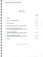 Báo cáo tài chính năm 2013 (đã kiểm toán) - Công ty Cổ phần Cao su Bến Thành