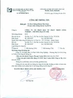 Báo cáo tài chính công ty mẹ quý 1 năm 2016 - Công ty Cổ phần Đầu tư Phát triển Công nghiệp - Thương mại Củ Chi
