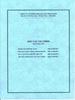 Báo cáo tài chính quý 4 năm 2012 - Công ty cổ phần Khoáng sản Bình Định