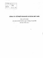 Báo cáo tài chính năm 2006 (đã kiểm toán) - Công ty cổ phần VICEM Bao bì Bút Sơn