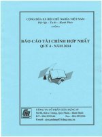 Báo cáo tài chính hợp nhất quý 4 năm 2014 - Công ty Cổ phần Xây dựng 47