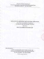 Báo cáo tài chính hợp nhất năm 2014 (đã kiểm toán) - Công ty Cổ phần Xây dựng 47