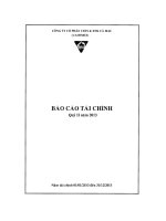 Báo cáo tài chính quý 2 năm 2013 - Công ty Cổ phần Chế biến và Xuất nhập khẩu Thuỷ sản Cà Mau
