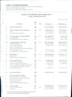 Báo cáo tài chính hợp nhất quý 3 năm 2010 - Công ty Cổ phần Đầu tư Alphanam